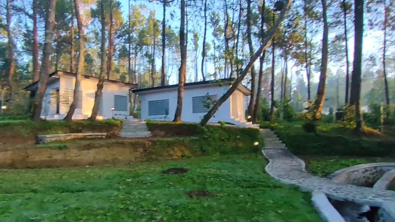 Sensasi berendam di tengah hutan