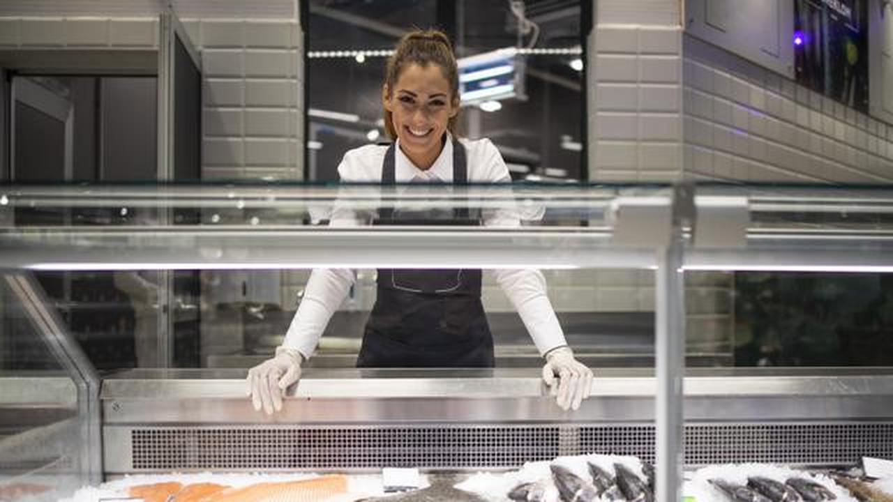 Cara memilih freezer untuk bisnis makanan