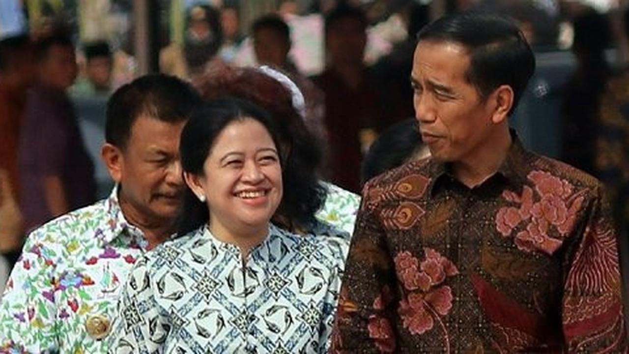Jokowi soal cadangan beras nasional: Cukup aman tak perlu impor!