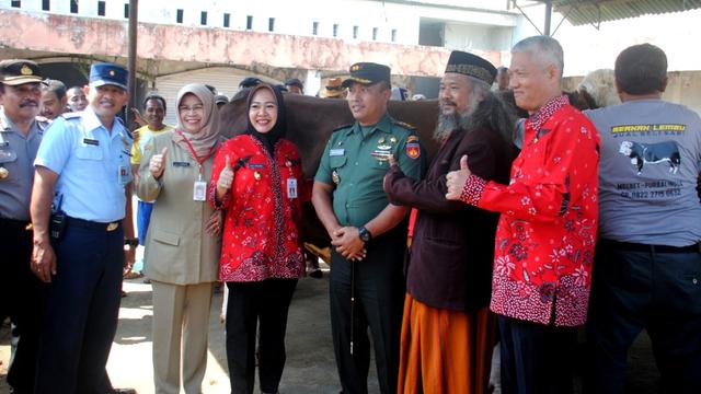 Sapi Jumbo seberat 1,1 ton jadi primadona swafoto pengunjung kontes ternak Purbalingga. (Foto: Liputan6.com/Dinkominfo/Muhamad Ridlo)