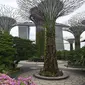 Seorang wanita mengunjungi Marina Bay di Singapura pada 6 Maret 2020. Tempat-tempat wisata utama di Singapura sepi dari turis di tengah epidemi virus corona COVID-19. (Xinhua/Then Chih Wey)