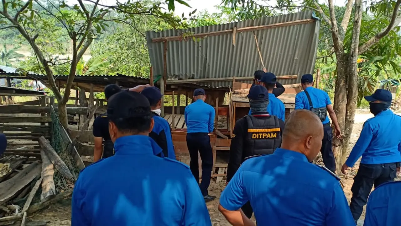 Demi Keselamatan Penerbangan Patroli Gabungan Tertibkan Kandang Babi di KKOP Hang Nadim