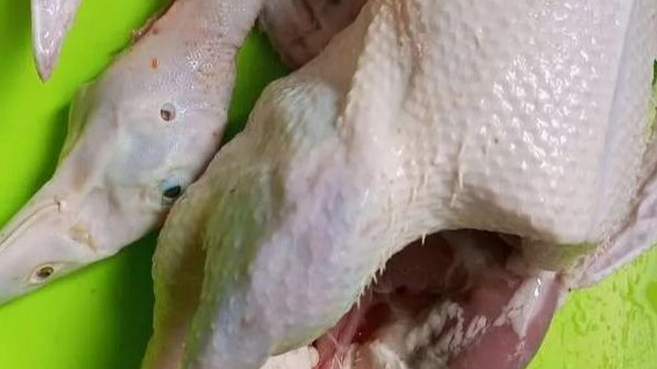 1. Pilih Daging Bebek yang Tepat