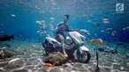 Pengunjung berfoto di atas sepeda motor dalam kolam renang Umbul Ponggok, Desa Polanharjo, Klaten, Jawa Tengah, Minggu (30/9). Selain sepeda motor, kolam renang ini juga berisi ikan, bebatuan, dan properti lainnya. (Liputan6.com/Gholib)