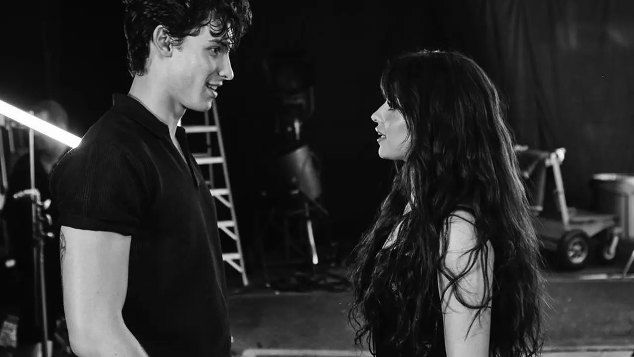 Camila Cabello - Shawn Mendes (Instagram/ camila_cabello)