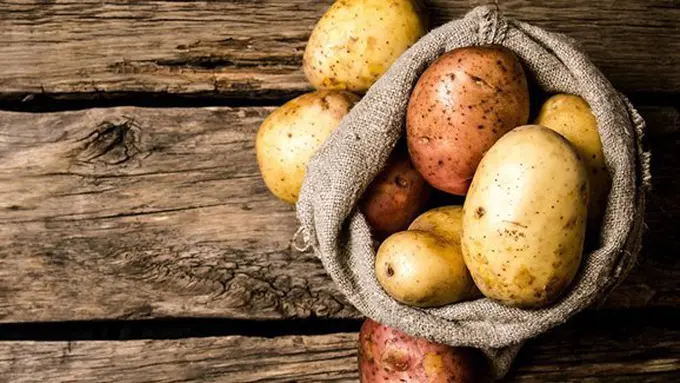 Copyright by shutterstock.com