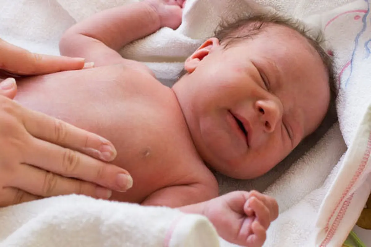 Foto: Copyright Shutterstock.com