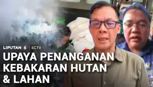 BNPB Catat Lebih dari 20.000 Hektare Hutan dan Lahan Masih Terbakar