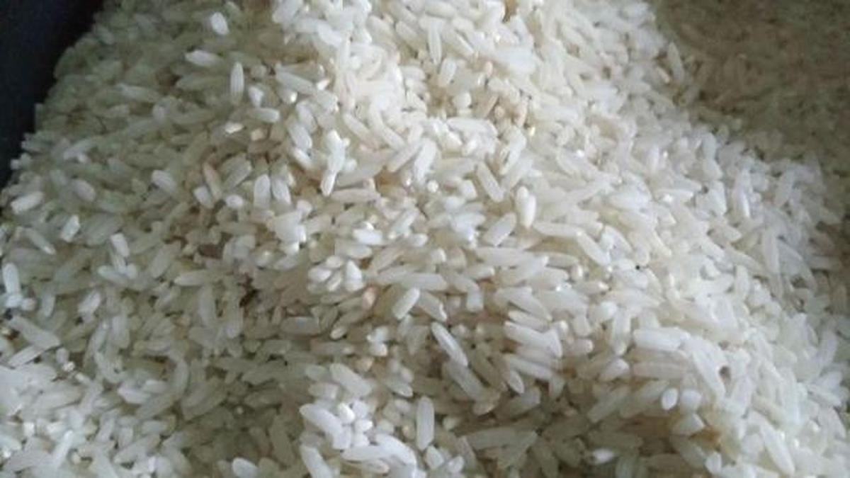 Cara Membersihkan Kutu Beras dengan Freezer, Efektif Tanpa Bahan Kimia