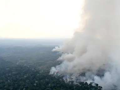 Foto udara dari area hutan hujan Amazon yang gundul akibat kebakaran ilegal di kotamadya Labrea, Negara Bagian Amazonas, Brasil, diambil pada tanggal 20 Agustus 2024. (EVARISTO SA / AFP)