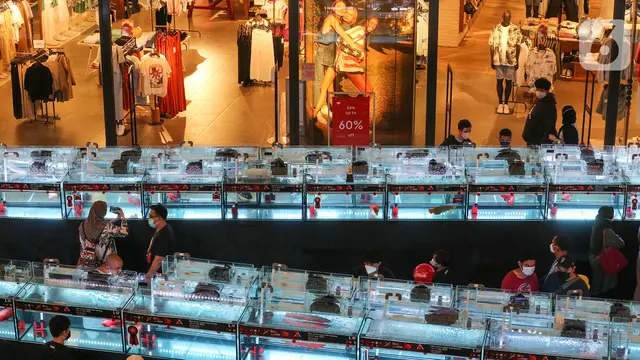 Kontes Kecantikan Ikan Arwana Pikat Pengunjung Mall