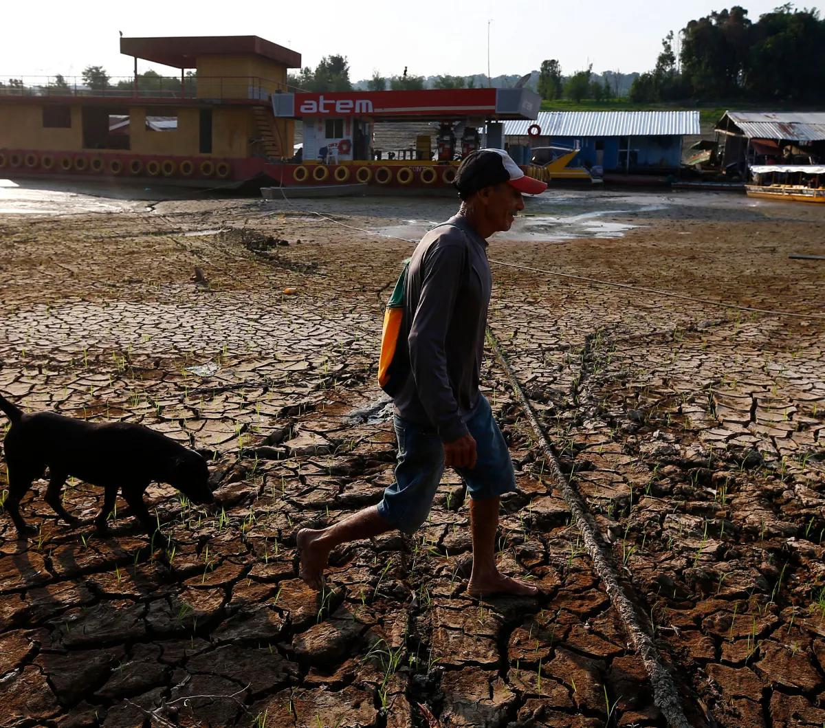 Jokowi mengakui bahwa saat ini produksi padi nasional mengalami penurunan akibat dampak El Nino. Namun, dia memastikan produksi beras domestik masih dalam kategori baik.&nbsp;