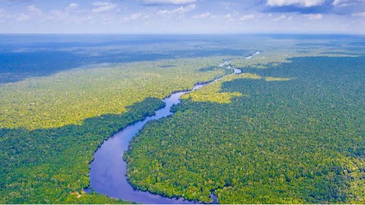 Fenomena Aneh, Mahasiswa Temukan Sungai Amazon Mengalir Mundur Saat Teliti Sedimen Sungai