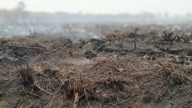 Kebakaran hutan di sebuah titik di Kalimantan Tengah. (dok BNPB)