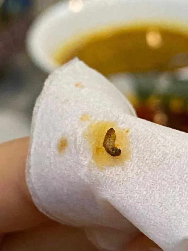 Wanita Ini Temukan Hewan Menjijikan dalam Kari Restoran, Bikin Geli