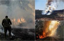 FOTO: Pasukan Zionis Kalang Kabut Rentetan Serangan Rudal Hizbullah Bakar Ribuan Hektar Hutan di Israel Utara