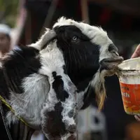 Meresapi makna Idul Adha. (via ekrembugraekinci.com)