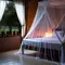 Cara Mengatasi Nyamuk di Kamar yang Ampuh dan Aman agar Tidur Nyenyak