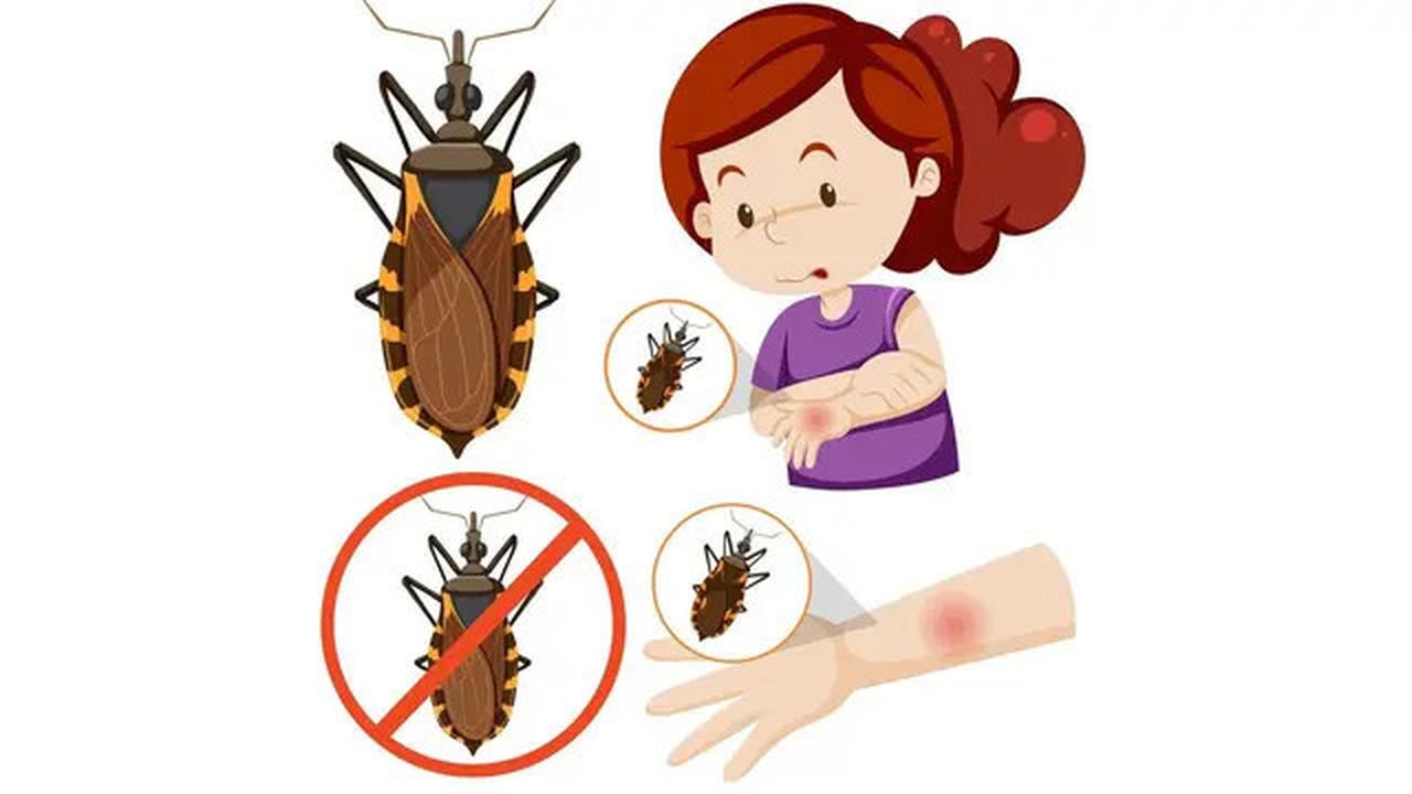 Gigitan Kecil, Dampak Besar, Penyakit Chagas dan Ancaman Gagal Jantung