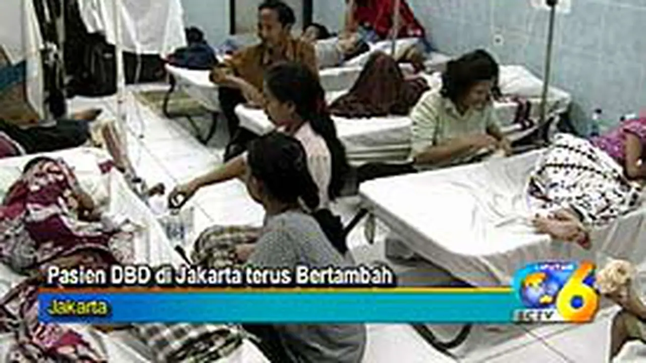 090805cDBD.jpg
