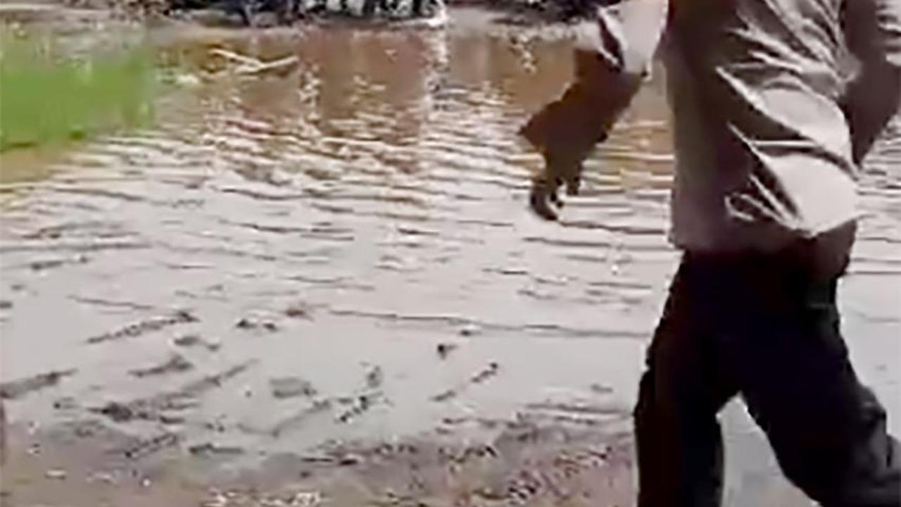 Eksekusi Lahan dan Ruko di Jambi Ricuh, Anggota Polri Luka-Luka Dikeroyok