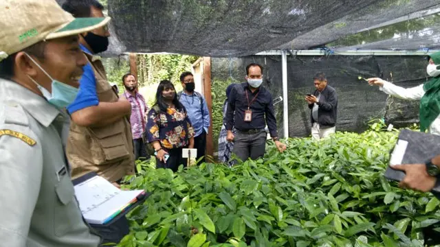 Ditjen Perkebunan Kementan.
