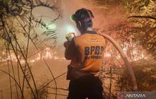 BNPB Intensifkan Pemadaman Kebakaran Lahan di Aceh dan Kalimantan Utara
