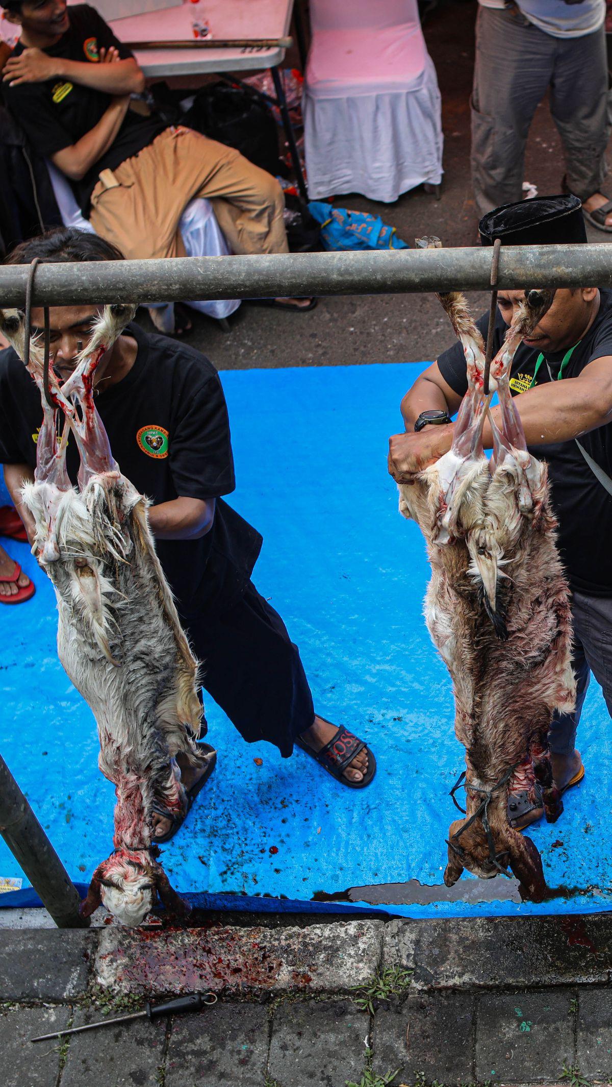 Tak hanya pertunjukan palang pintu, Lebaran Tenabang 2024 juga menghadirkan lomba menguliti kambing hingga berbagai kuliner khas Betawi.&nbsp;Liputan6.com/Angga Yuniar