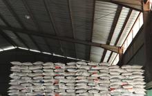 Bulog Belitung Tambah 500 Ton Pasokan Beras Medium Jelang Idul Fitri 1447 H