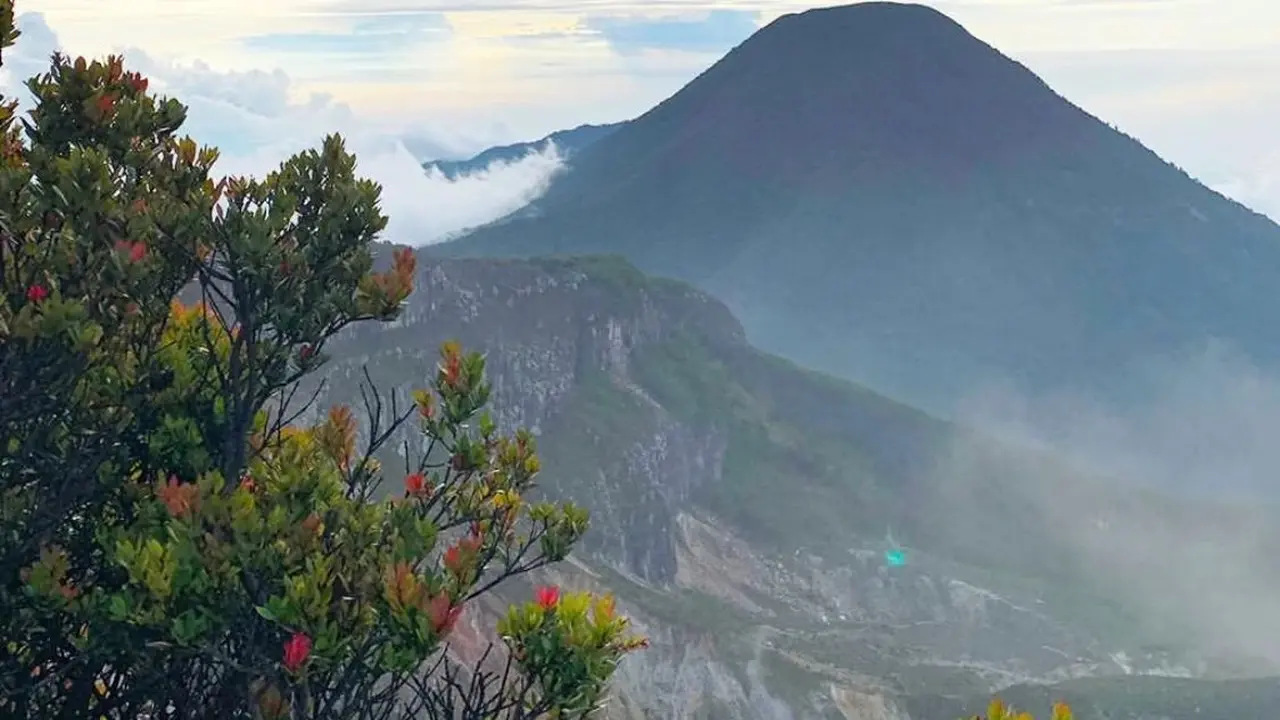 Gunung Gede Pangrango menawarkan panorama cantik bagi para pendaki yang suka kegiatan di alam