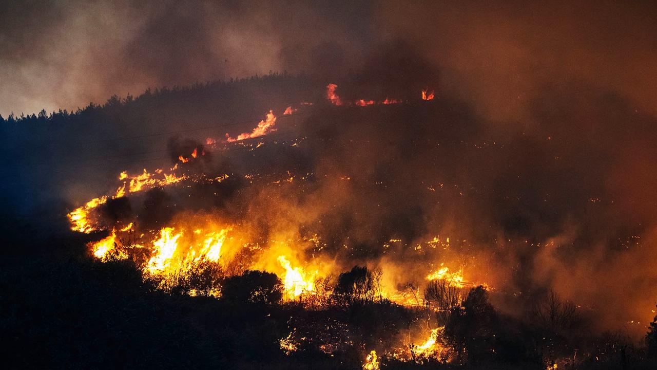 FOTO: Kebakaran Hutan Saat Gelombang Panas Ekstrem di Turki, Ribuan  Warga Dievakuasi