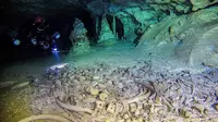 Penyelam menjelajahi gua Sac Actun di Meksiko, digambarkan sebagai situs arkeologi bawah laut terpenting di dunia. (INAH/MEXICO'S NATIONAL ANTHROPOLOGY AND HISTORY INSTITUTE)