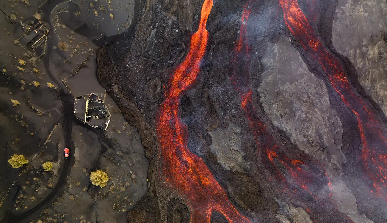 Lava mengalir dari gunung berapi di pulau Canary La Palma, Spanyol (30/11/2021). Beberapa lubang vulkanik baru dibuka di La Palma, melepaskan lava baru yang mengalir cepat menuruni punggung bukit dan akan memperluas dampak pada tanah yang dievakuasi , infrastruktur dan rumah. (AP/Emilio Morenatti)
