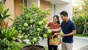 14 Cara Merangsang Pohon Jambu Kristal agar Berbuah Besar Meski Ditanam di Pot