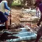 Pembongkaran makam keluarga Muhammad Rusli Ronrong di Takalar (Fauzan/Liputan6.com)