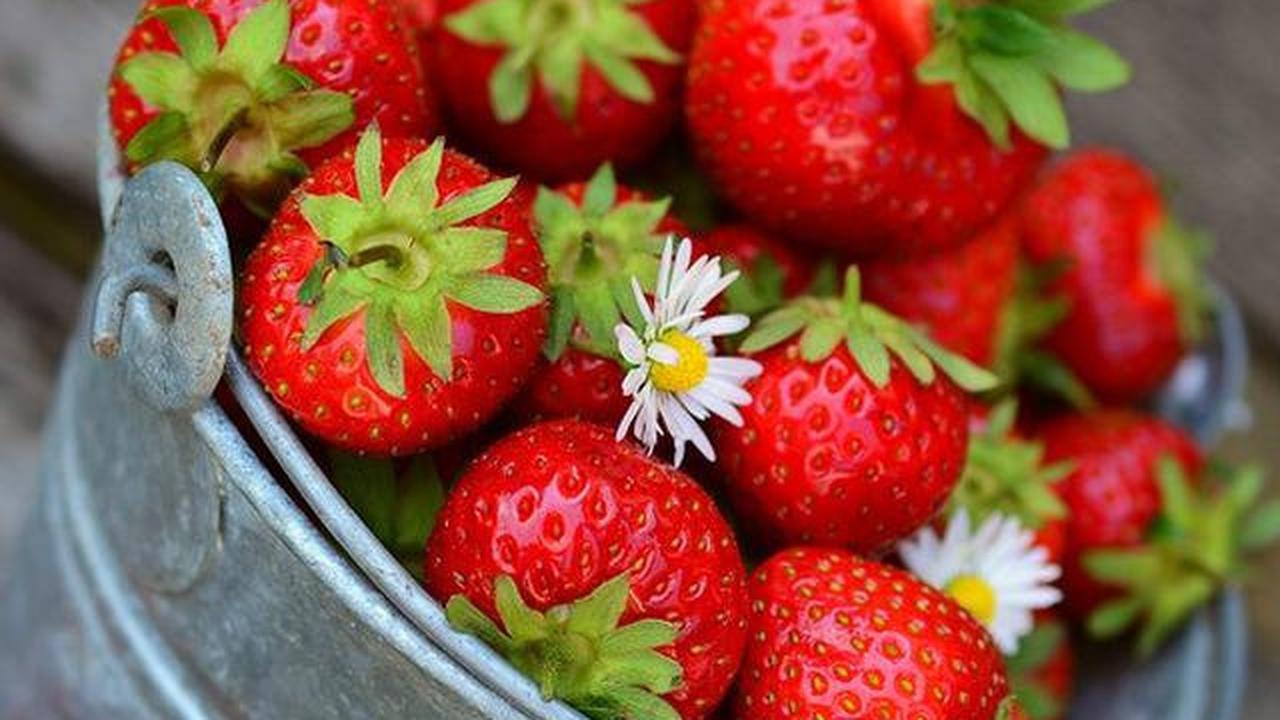 7 Cara Memutihkan Gigi Kuning Membandel dengan Bahan Dapur agar Tampak Bersih dan Cerah