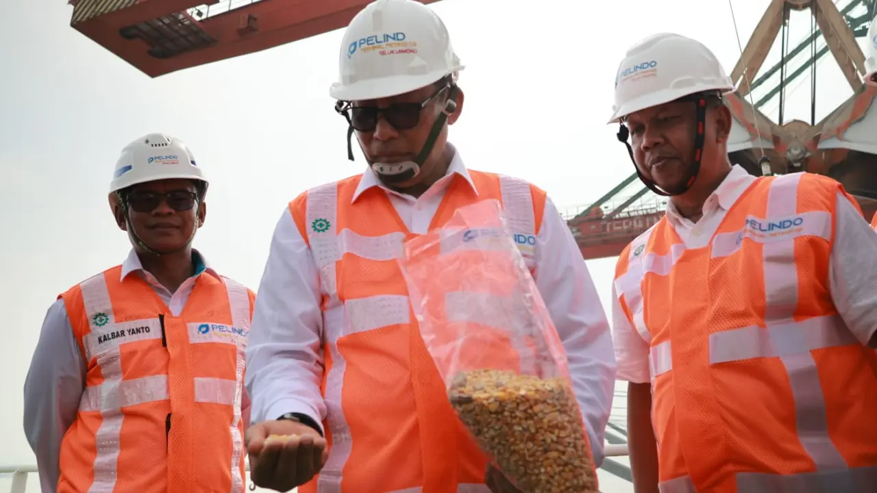 Stabilkan Harga di Tingkat Peternak, Bulog Segera Gelontorkan 20 Ribu Ton Jagung Pakan