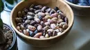 Kacang adalah makanan berprotein tinggi yang sering mengandung asam amino yang diperlukan untuk sintesis kolagen. Plus, banyak dari mereka kaya akan tembaga, nutrisi lain yang diperlukan untuk produksi kolagen. (FOTO: Unsplash.com/milada vigerova).