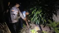 Suara Kucing Memecah Malam, Ternyata Bayi Perempuan Dibuang ke Septic Tank di Tanggamus Lampung