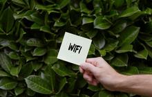 Hati-Hati Penipuan Pakai Wifi Gratis, Uang di Rekening Bisa Hilang, Begini Modusnya