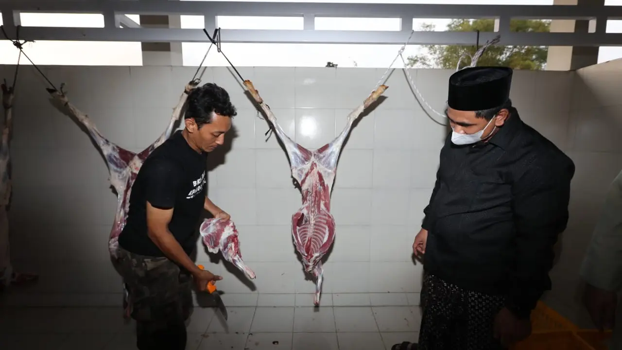 Wakil Gubernur Jawa Tengah, Taj Yasin melihat proses pemotongan daging hewan