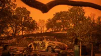 Mobil Volkswagen Beetle hangus oleh api yang melahap sebuah tempat tinggal pada kebakaran hutan yang dijuluki Carr Fire di Redding, California, Jumat (28/7). Kebakaran yang melanda selama musim panas ini sudah melahap 1.900 hektar lahan. (AP/Noah Berger)