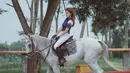 Berkuda memang menjadi salah satu hobi yang cukup menantang. Menunggangi kuda agar mau dikendalikan saat berjalan maupun berlari ini nyatanya gampang-gampang susah. Dibutuhkan sebuah latihan yang tekun agar bisa jago naik kuda, seperti yang dilakukan Regina Phoenix. (Liputan6.com/IG/@reginaaphx)