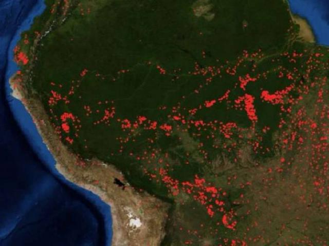 7 Hal Yang Mungkin Melanda Bumi Jika Seluruh Hutan Amazon Terbakar Habis Global Liputan6 Com