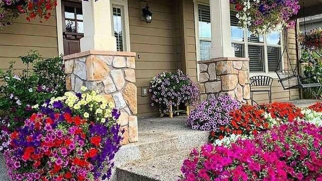Ilustrasi Taman Depan Rumah Minimalis yang Cantik (©Pinterest)