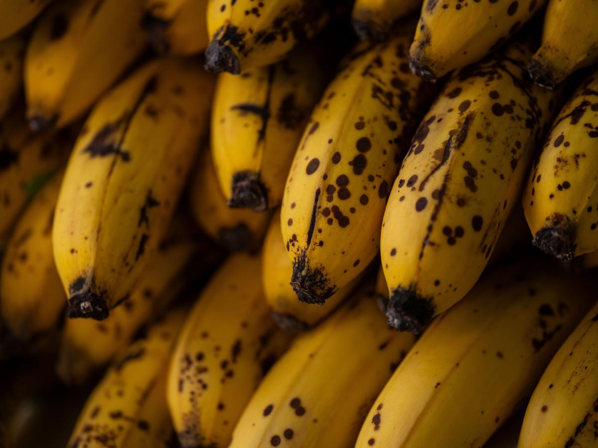 Ilustrasi Pisang dengan Banyak Bercak Cokelat dan Memar