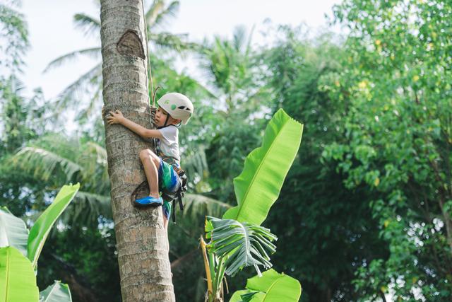 Belajar Pertanian Berkelanjutan di Kebun Hotel