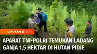TIim Gabungan Kodim Pidie bersama Polres Pidie berhasil menemukan lahan tanaman ganja seluas 1,5 hektar. Dari penemuan di lereng perbukitan hutan Pidie, Aceh, didapati sekitar 1.500 batang ganja berbagai ukuran.