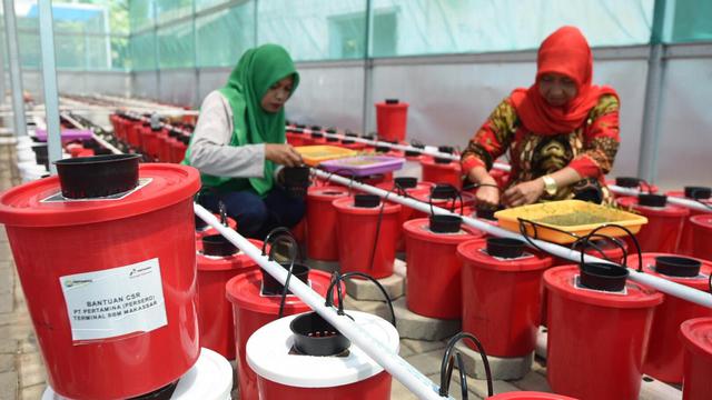Hidroponik Dan Bank Sampah Pertamina Tingkatkan Kesejahteraan Kaum Ibu Di Makassar News Liputan6 Com