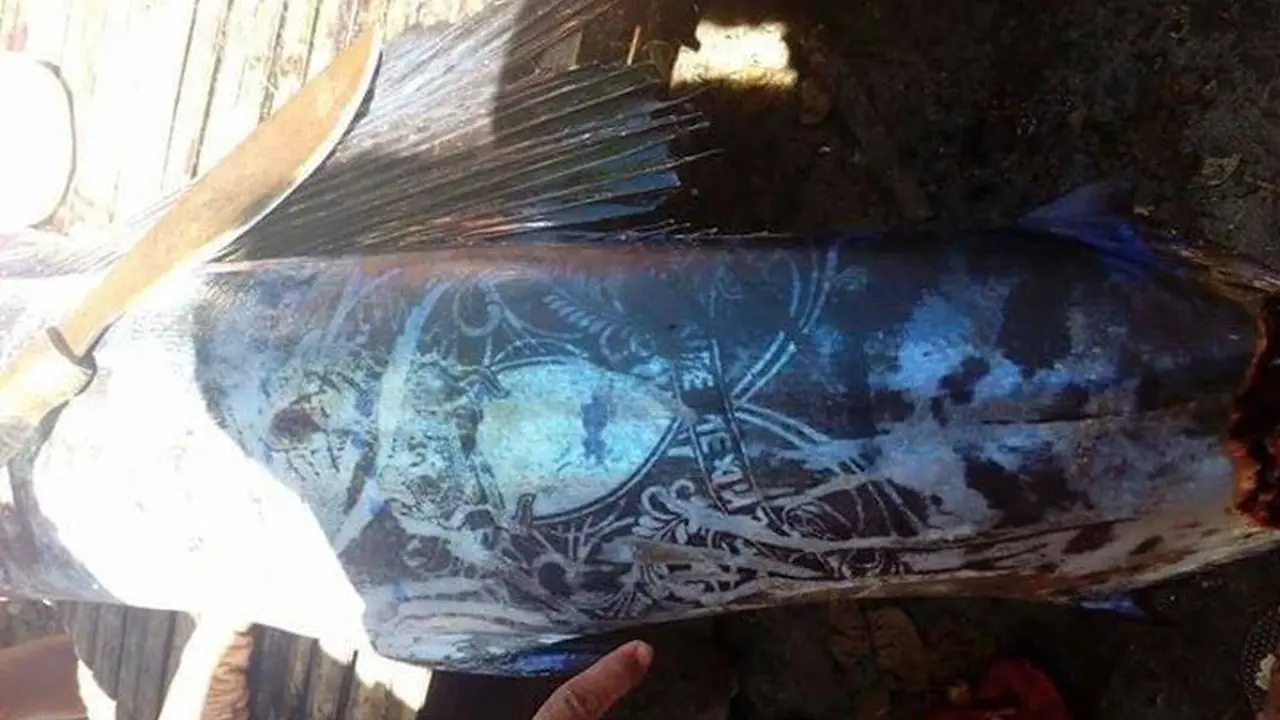 Tak Biasa, Ikan Bertato Buat Heboh Nelayan